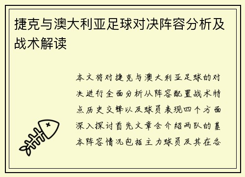 捷克与澳大利亚足球对决阵容分析及战术解读