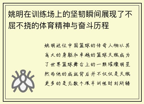 姚明在训练场上的坚韧瞬间展现了不屈不挠的体育精神与奋斗历程