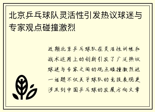北京乒乓球队灵活性引发热议球迷与专家观点碰撞激烈