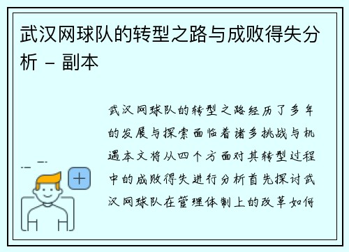 武汉网球队的转型之路与成败得失分析 - 副本